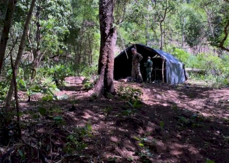 SENAD destrói plantação de maconha e acampamentos do tráfico na fronteira