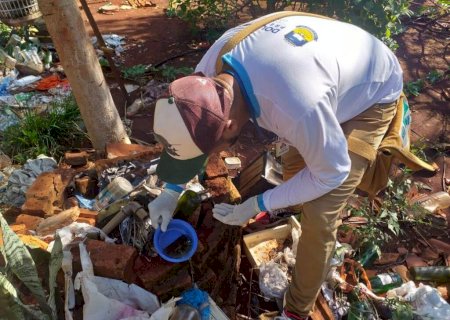 MS registra a 34ª morte por dengue em 2020