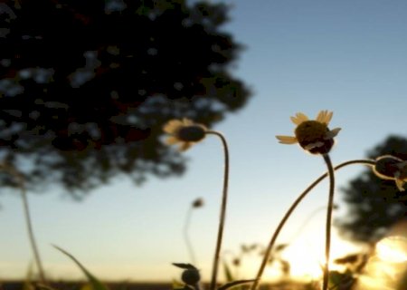 Primeira segunda-feira do inverno terá mínima de 15°C e máxima de 34°C