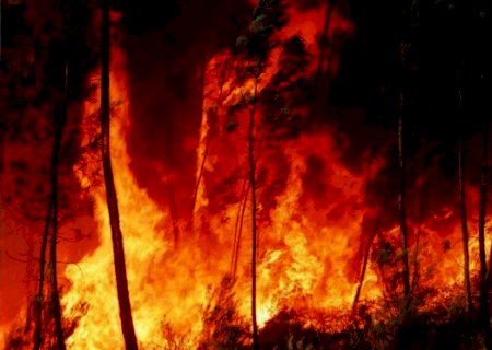 Serão necessários R$ 3 mi para reconstrução de pontes destruídas com queimadas no Pantanal