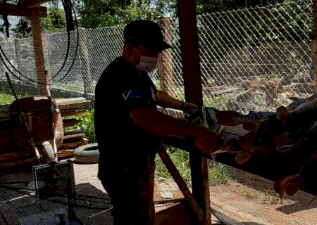 Em um mês de Piracema, PMA prende 9 pessoas e aplica R$ 25 mil em multas