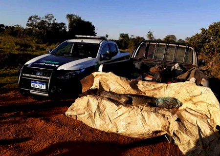 PMA multou 22 caçadores em R$ 90 mil e apreendeu 21 armas em 2020