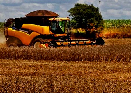 Valor da produção agropecuária de Mato Grosso do Sul chega ao recorde de R$ 70,9 bilhões