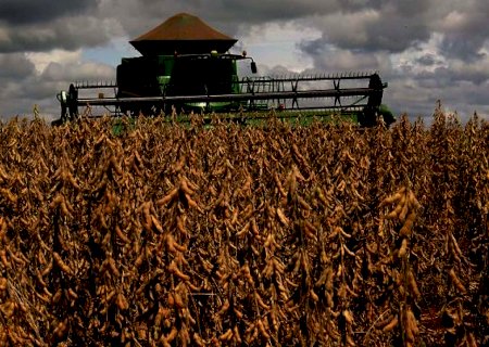 Mato Grosso do Sul começa a colher mais uma safra recorde de soja