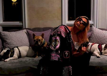'Dog walker' de Lady Gaga se recupera bem após ser baleado, dizem médicos