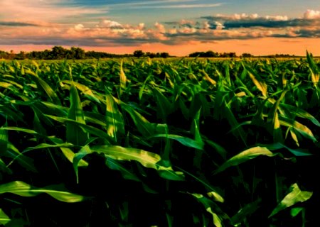 La Niña pode se estender até a primavera e efeitos impactam no agro