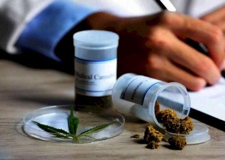 Juiz volta atrás e autoriza Associação a produzir medicamentos à base de maconha