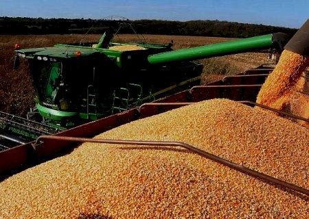 Colheita da soja entra na reta final e plantio do milho passa dos 90% em MS