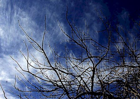 Ar frio e seco predomina nesta terça-feira em Mato Grosso do Sul