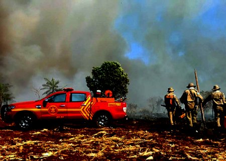 Investimentos e plano estratégico reduzem área queimada em mais de 86% no Pantanal