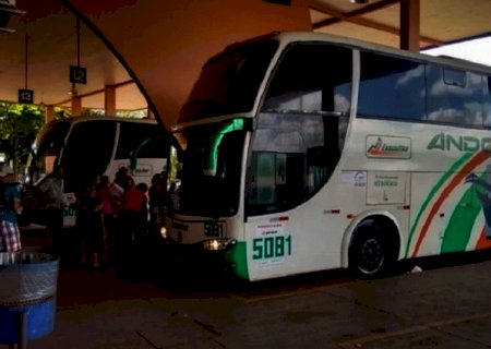 Procon autua empresa de ônibus por impedir reserva de passagens interestaduais gratuitas