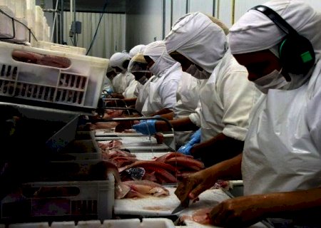 Estado quer elevar em quase 50% a produção de peixes de cultivo no Estado
