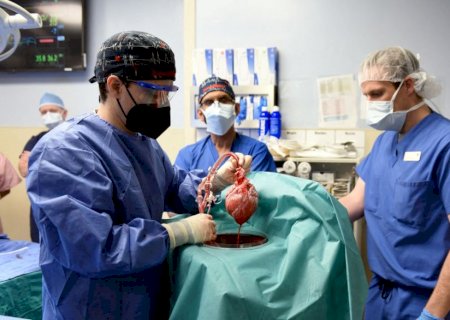 Coração de porco geneticamente modificado é  transplante em  homem norte-americano