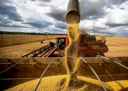 MS vendeu ao exterior no bimestre deste ano, um total de US$ 516,2 milhões de dólares