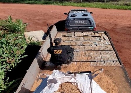 DOF apreende mais de 1,8 tonelada de maconha na fronteira com o Paraguai no fim de semana