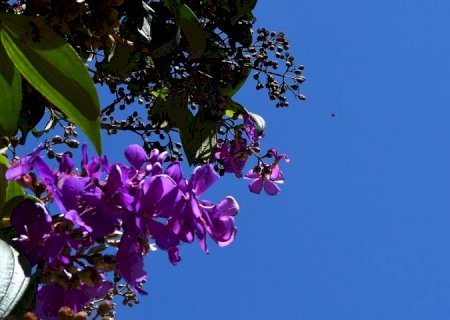 Previsão do Tempo: Semana começa com tempo instável com temperaturas variando entre 21 e 34 graus