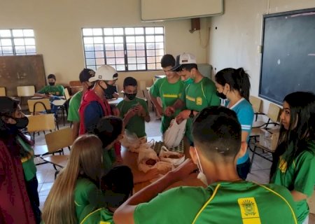 Germinação da soja e do milho foi temática em “Escola da Autoria' de Aral Moreira
