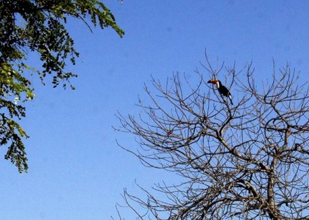 Temperaturas amenas, com sol e tempo seco nesta terça-feira no Estado