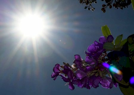 Sábado será de sol e tempo seco em Mato Grosso do Sul