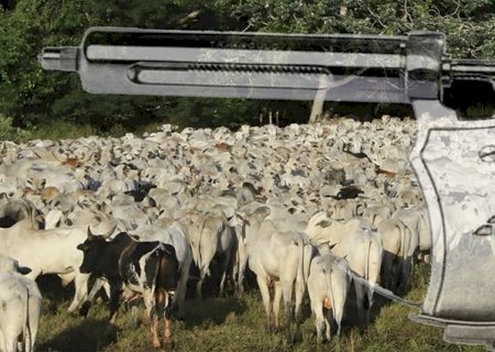 Atenção produtores: Etapas de vacinação contra aftosa estão invertidas no MS