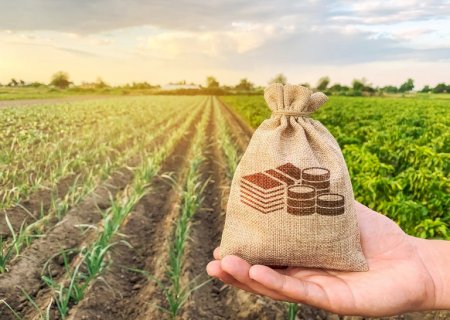 Contratações do crédito rural somam R$ 209 bilhões em nove meses