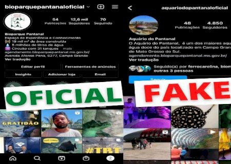 Gestão do Bioparque Pantanal alerta para perfis falsos da atração nas redes sociais
