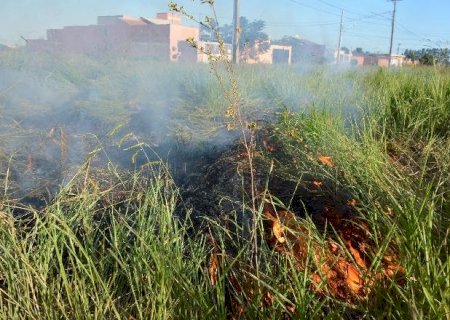 Incêndios em vegetação no Pantanal quase dobram nos 4 meses deste ano
