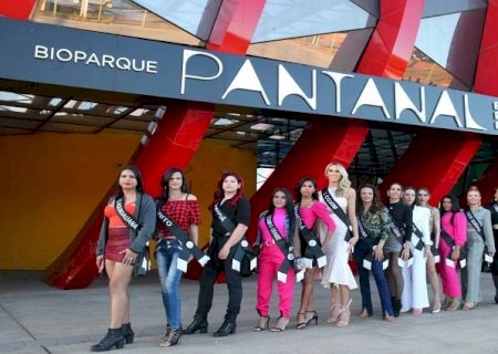 Com apoio da SubsLGBT, Miss beleza T Mato Grosso do Sul acontece neste sábado