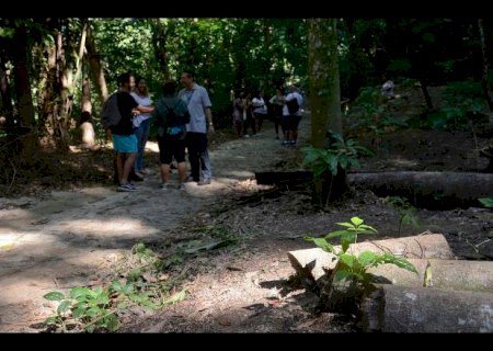 Mesmo com pandemia, visitação a parques não avança no Brasil, aponta pesquisa