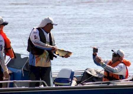 Festival de Pesca de Corumbá tem 121 peixes capturados e dourado é o destaque