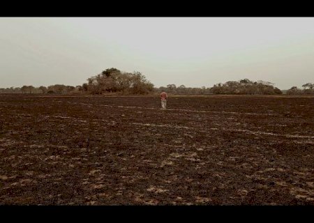 Cientistas publicam carta que alerta risco a biodiversidade e a população do Pantanal