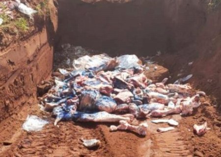 Operação contra comércio clandestino de alimentos apreende 1,2 tonelada de produtos