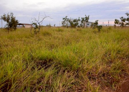 Empresas recebem R$ 12 milhões em doação de terrenos na Capital