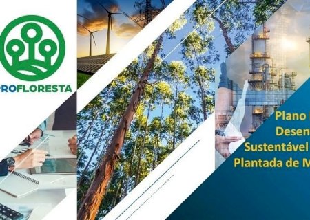 PROFLORESTA quer potencializar cadeia produtiva que gera 27,2 mil empregos em MS