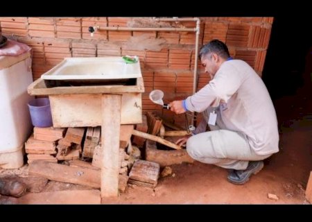 Operação Mosquito Zero fiscaliza 38 mil casas em Campo Grande