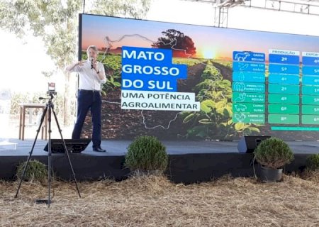 Showtec: área ocupada por soja em Mato Grosso do Sul deve crescer 22% em três anos, aponta estudo