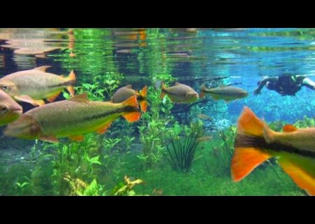 Número de visitas em pontos turísticos de Bonito cresceu 156% em um ano