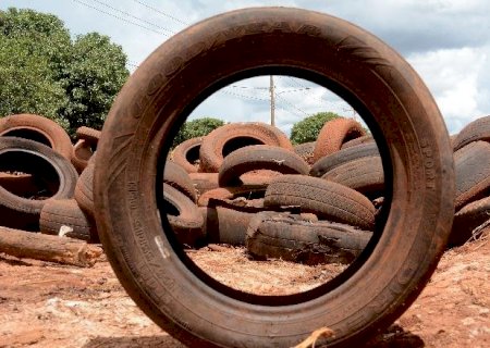 Mato Grosso do Sul ultrapassa os 10 mil casos de dengue e chega a 9 vítimas