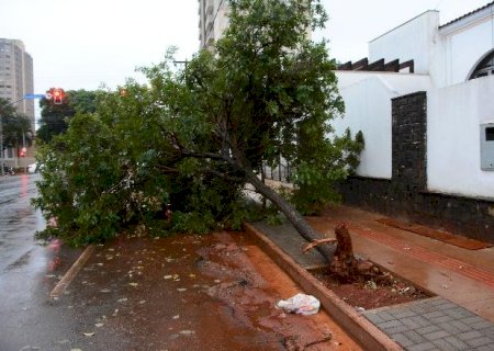 Chuvas provocam quedas de energia em pelo menos 37 regiões da Capital