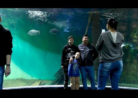 Maior aquário de água doce do mundo recebeu 1,2 mil visitantes em dois dias
