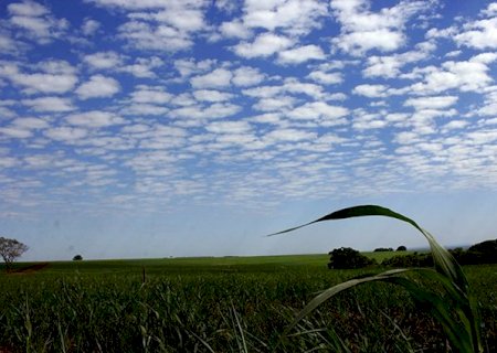 Domingo tem previsão de tempo firme, com pequena elevação da temperatura no Estado