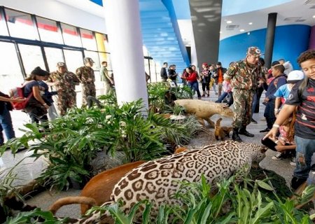 Em alusão ao Dia Mundial do Meio Ambiente, Bioparque Pantanal será ponto de coleta de lixo eletrônico e medicamentos vencidos
