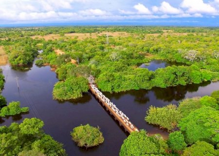 Exemplo em sustentabilidade e descarbonização na produção, Mato Grosso do Sul sedia Agenda Verde do Agro