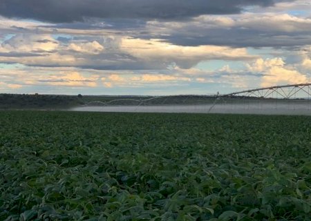 Programa nacional vai estimular redução voluntária de carbono na agropecuária
