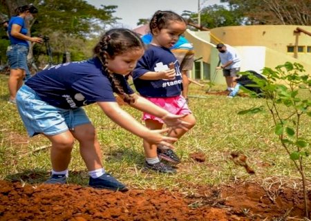 Em comemoração ao Dia do Meio Ambiente, 123 mudas de Ipês serão plantadas no Parque dos Poderes