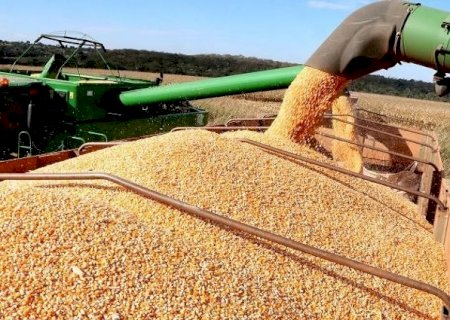 Mais uma vez exportações de MS crescem; soja, celulose, carne bovina e de aves foram os destaques