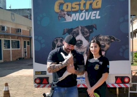 Projeto leva controle humanizado de gatos e estimula ressocialização em penitenciária da capital