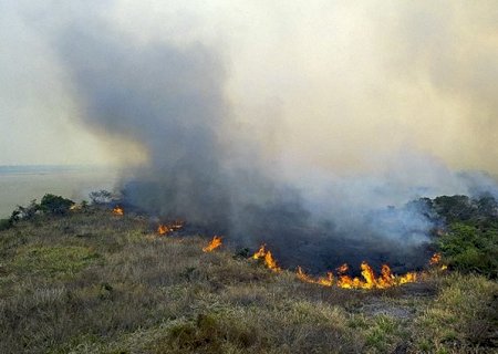 “Queima controlada” está proibida até o final do ano em Mato Grosso do Sul