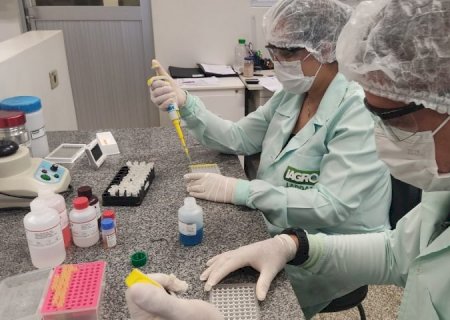 Iagro obtém credenciamento para diagnóstico de peste suína clássica e doença de Aujeszky em MS