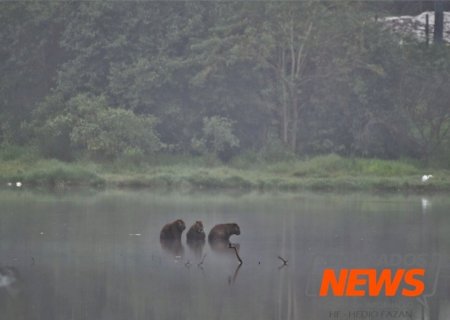 Municípios de MS estão em área de alerta de tempestade e declínio de temperatura